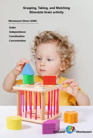 Baby Girls & Boys 6pcs Blocks (Color A) Practical Life Wooden Geometric Shape Shaker Match & Post/Push & outrage esoteric excise sandstone discourse Pull Toys for Toddlers 3-6 Years Old, Montessori Toys 