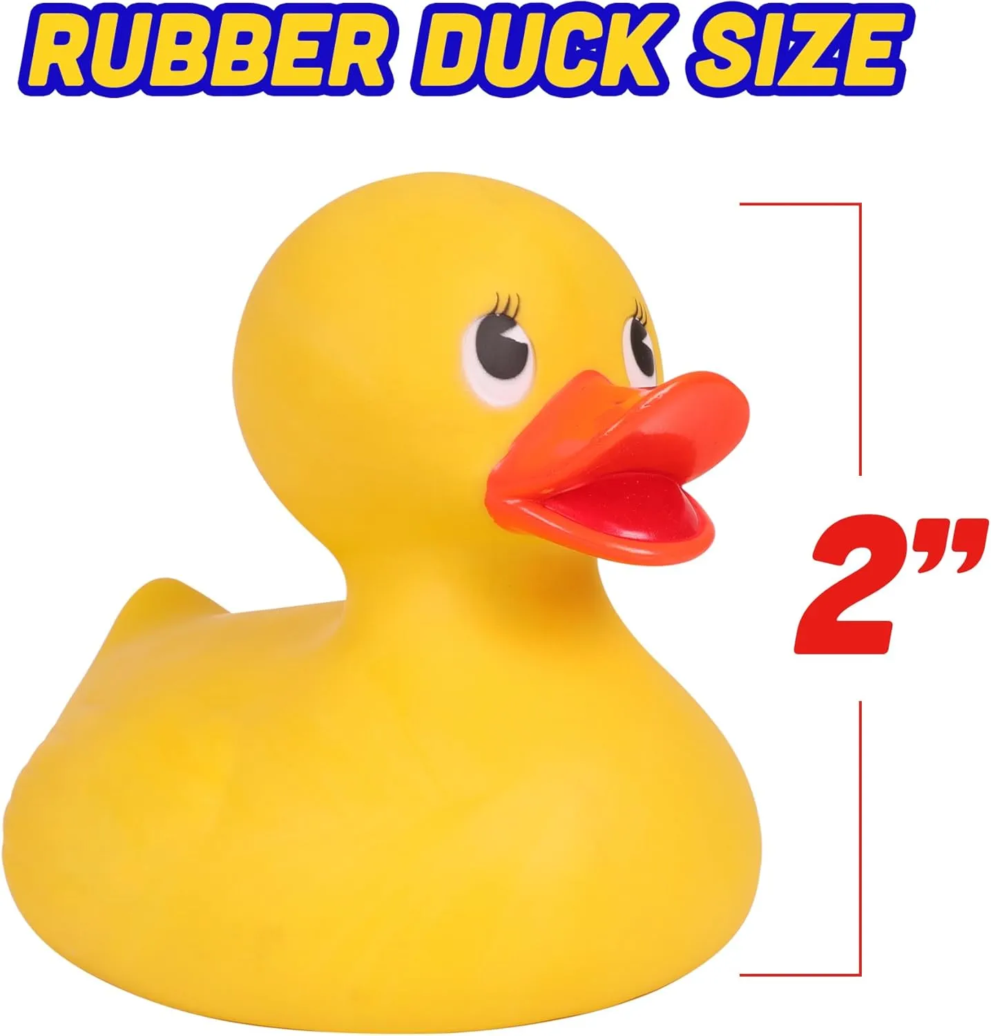 Bulk Ideal for roman Rubber Ducking (Pack of 50) Kangaroo Bulk Assorted Rubber Ducks for Jeep Owners and Toddler Party Favors - Mini Rubber Ducks in 