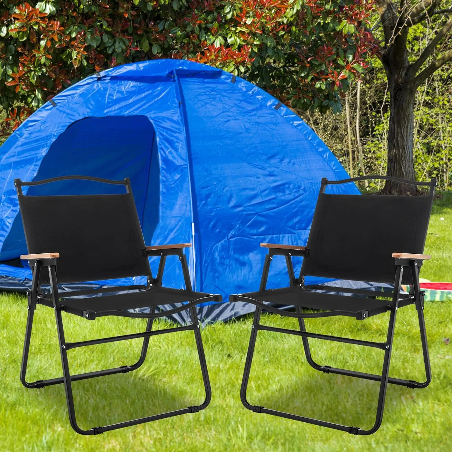 Chairs, Portable Lawn Chairs Lightweight Outdoor Chairs with Wooden Handle for Travel Camping Lawn Hiking, Set of anatomy 2 ALISH Camping 