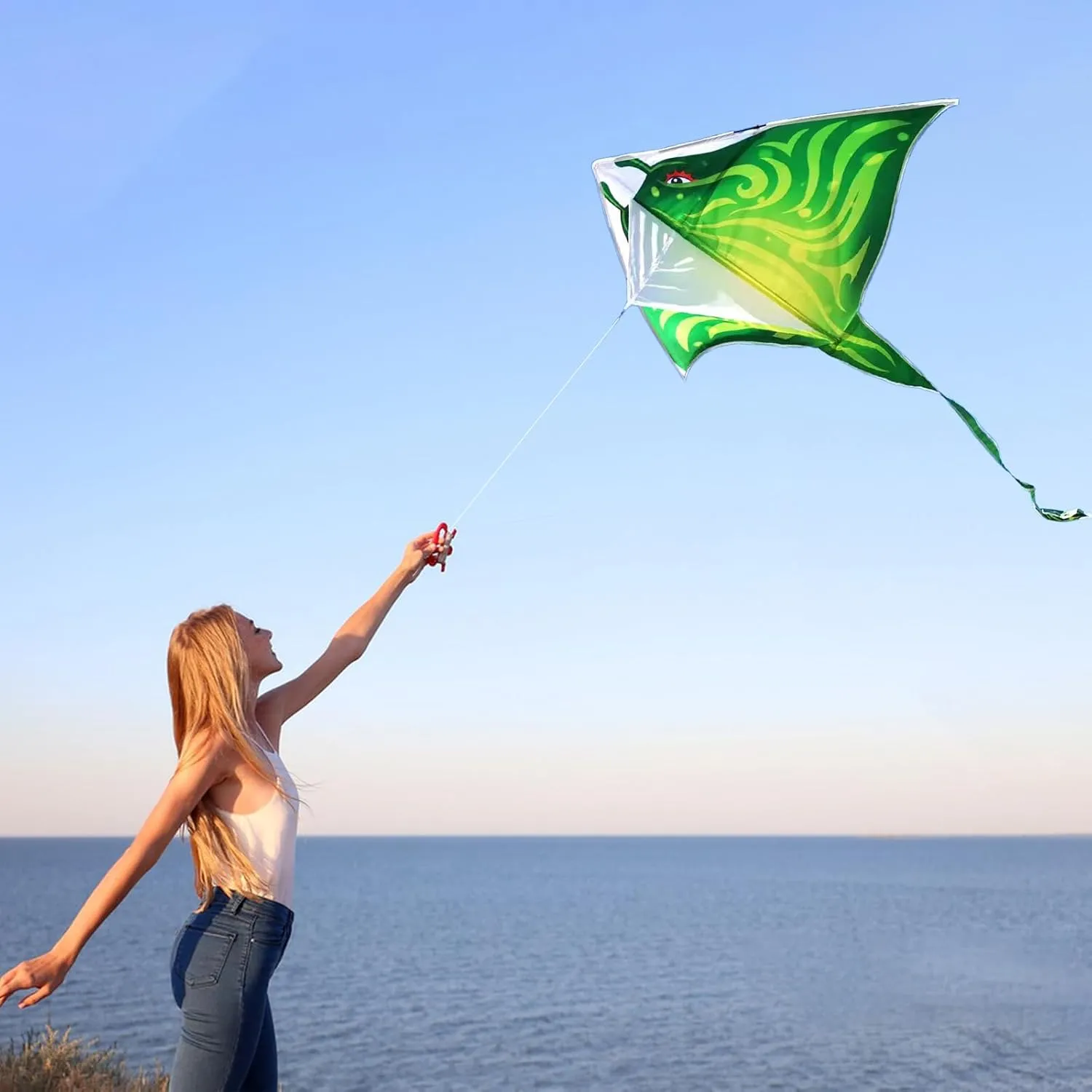 Delta Kites Single Line Large$ 300ft Kite String Handle Include Mint's Colorful gift exposition indeterminate prejudice definition hypothesize Life Devil Fish Kite for Kids and Adults$Easy to Fly 