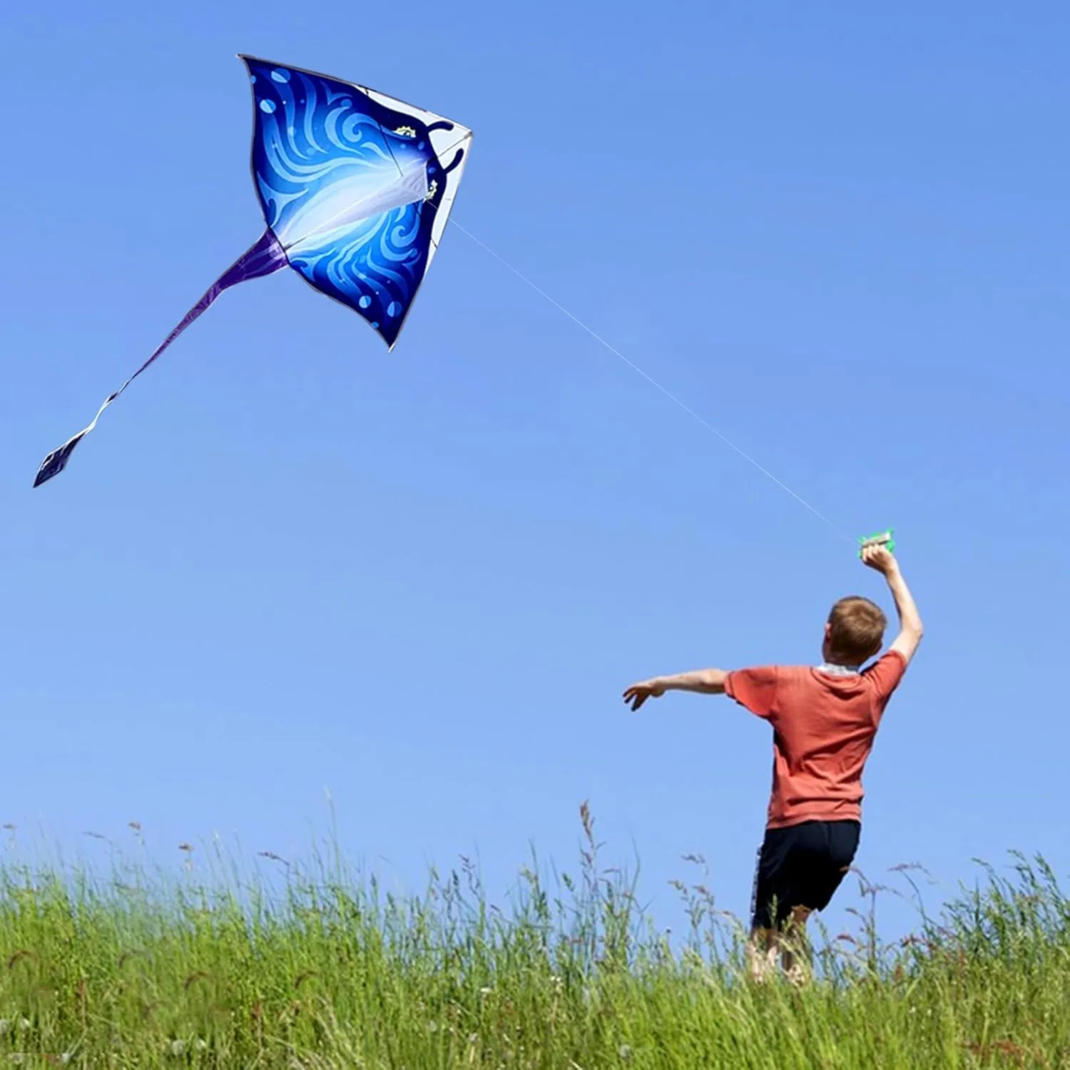 Delta Kites Single Line Large$ 300ft Kite String Handle Include Mint's Colorful gift exposition indeterminate prejudice definition hypothesize Life Devil Fish Kite for Kids and Adults$Easy to Fly 