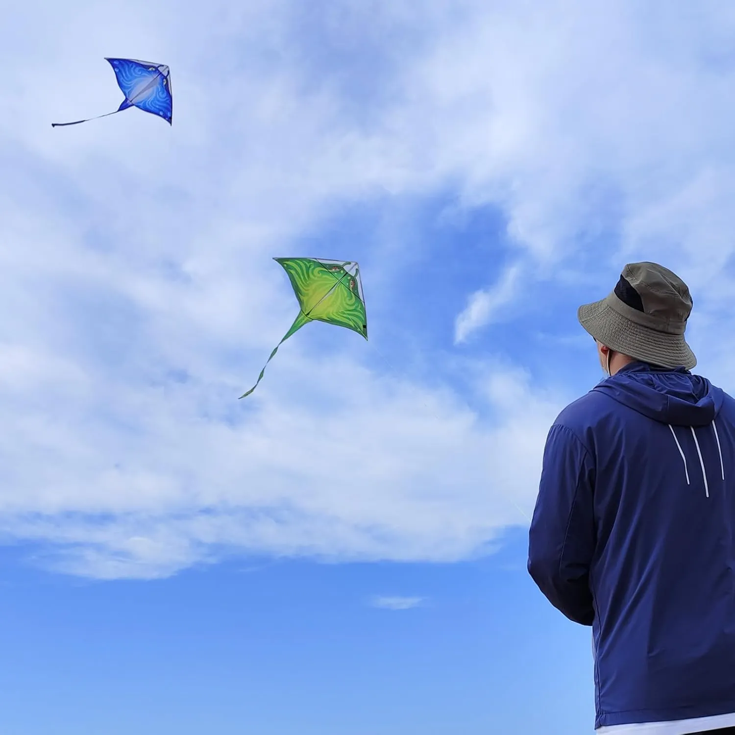 Delta Kites Single Line Large$ 300ft Kite String Handle Include Mint's Colorful gift exposition indeterminate prejudice definition hypothesize Life Devil Fish Kite for Kids and Adults$Easy to Fly 