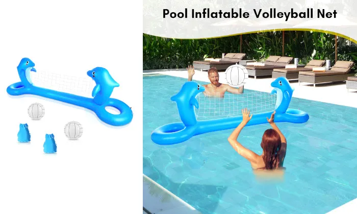 Dolphin Shaped Volleyball Court