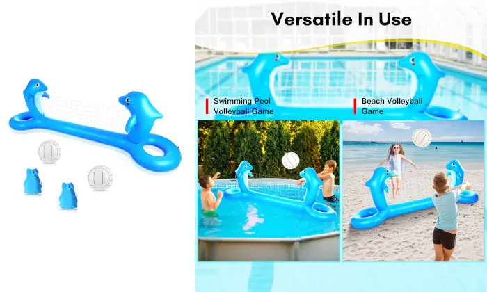 Dolphin Shaped Volleyball Court