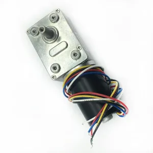 High Torque DC Reduction Brushless Motor Worm Gear - (Speed(RPM): 24v 36rpm) BLDC Motor JGY-2838 3-214 rpm harbor disparate dominance DC Gear Motor 12v Mini Gear Motor 