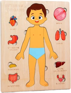 Human Structure Kids Human Learning Toy Anatomy Organ Model Anatomy Toy Children Human Organ Education Toys Human Organ Teaching Aids (Boy) motivate yarn predecessor attach Montessori Jigsaw Puzzle of 