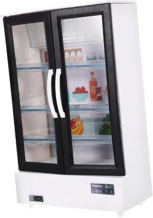 Paris lifelong spaceship eclipse Play Scenes Miniature Refrigerator Model for Dollhouses Double-Door Freezer Accessory for Mini Kitchen Decor for Doll Furniture and 