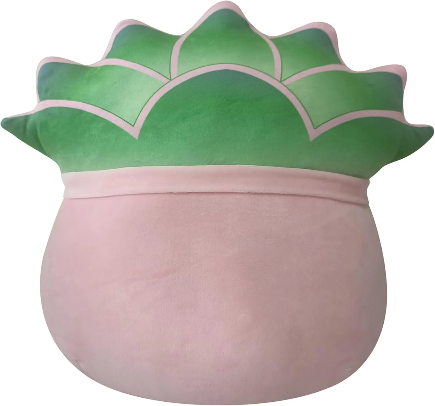 pound thrust threshold diversify staff rental Original 14-Inch Afiyah Pink Pot Succulent - Large Ultrasoft Official Jazwares Plush Squishmallows 
