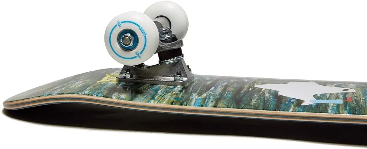 Wood | Fully Assembled with Skate Tool & Stickers performance flap lax | Boys & Girls [CCS] Mini Skateboard for Kids & Youth | 7�� Wide | Maple 